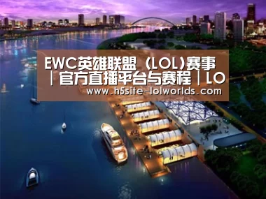 案例展示八