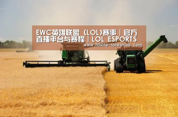 产品名称八