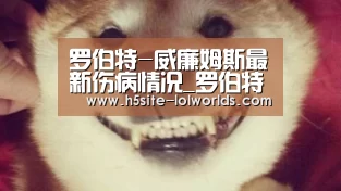 罗伯特-威廉姆斯最新伤病情况_罗伯特-威廉姆斯什么时候复出：英雄联盟世界赛