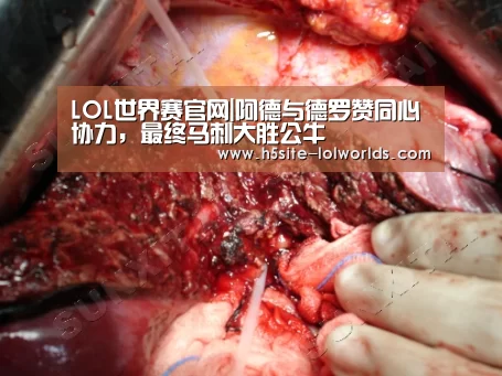 全球总决赛官网