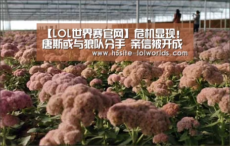 英雄联盟世界赛